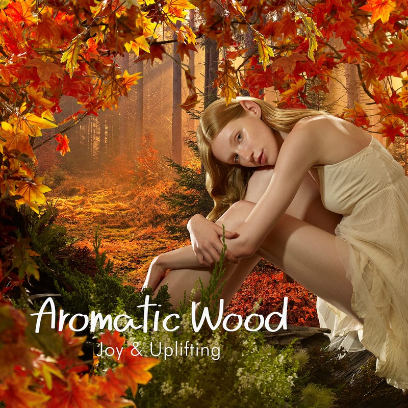 タン トリートメントコンディショナー (アロマティックウッド・ふんわり)