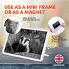 1 x Fridge Magnet - Badger Sett Wildlife Animal #36727