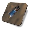 1 x Square Coaster - Peregrine Falcon Bird Dive Cork