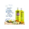 Shampoo y Aondicionador Nefertiti Cabello Seco O Dañado Extracto De