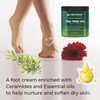 First Botanicals Athlete's Foot Cream with Tea Tree Oil Aloe