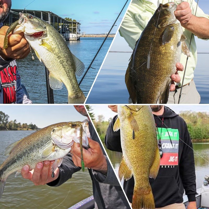 Fishfun - Pesos de tungsteno para pesca de lubina, pesas,