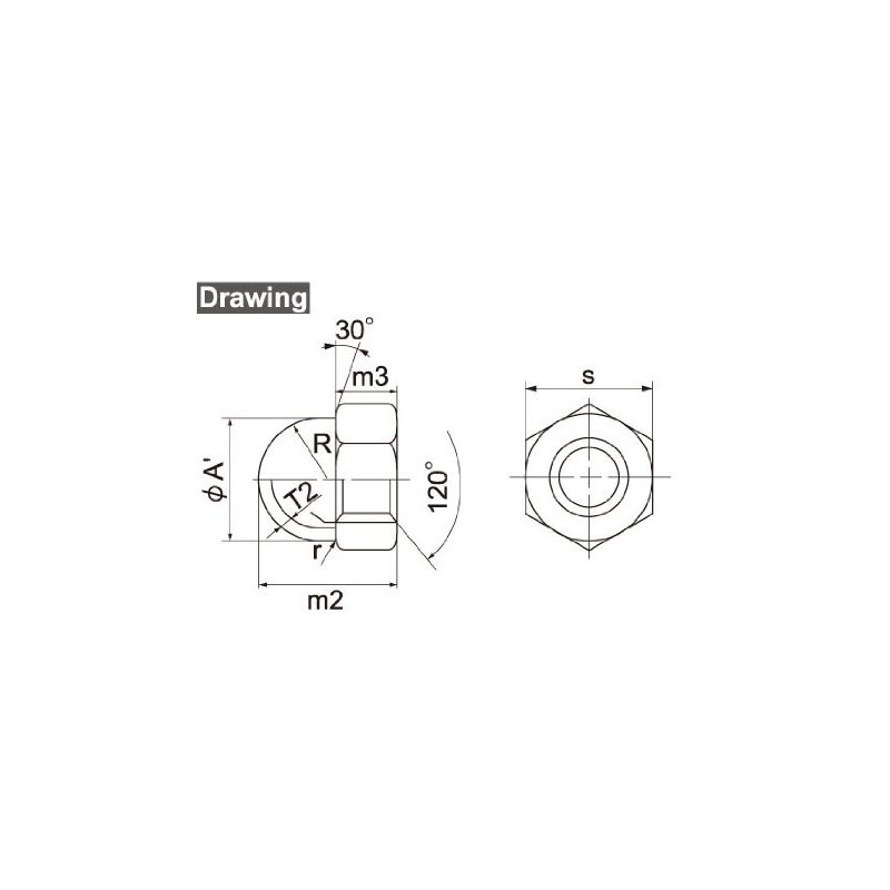 Osato 36344 Stainless Steel Bag Nuts, For M10, Pack of