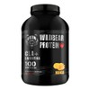 Cla Carnitina Polvo Wild Beard 1kg 100 Serv Sin Gluten Sabor Mango