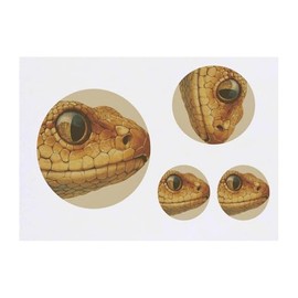 4 x 'Yellow Snake Head' Temporary Tattoos - Water Resistant, Skin-Safe, Non-Toxic Transfers, Mixed Sizes (TO00080678)