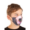 Child Bear Sublimated Face Mask Standard