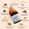 Live Conscious Beyond Brew Duo Flavor Bundles - Functional Mushroom