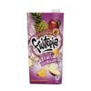 Fruitopia Fruit Integration Juice 1L Each (10 Pack of 1L
