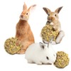 SunGrow Seagrass Balls for Rabbit, for Pet’s Gums & Teeth,