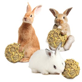 SunGrow Seagrass Balls for Rabbit, for Pet’s Gums & Teeth, Chewable Teething Activity Toy for Gerbils, Guinea Pig, Dwarf Bunny (3 Pieces/Pack)