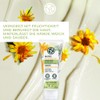 Yves Rocher PUR ARNICA Restorative Hand Cream Intensive Hand Care
