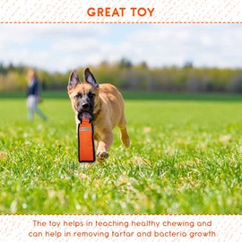 Kuvias Dog Chew Toys - Interactive Dog Toys for Playing, Fetch, Tug of War, Training - Adult Dog & Puppy Teething Toys-Suitable for all dog breeds and Age – High Visibility Light Reflective (Orange)