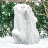 Liengoron 2PCS 10 Ft x 50 Ft Plant Covers Freeze