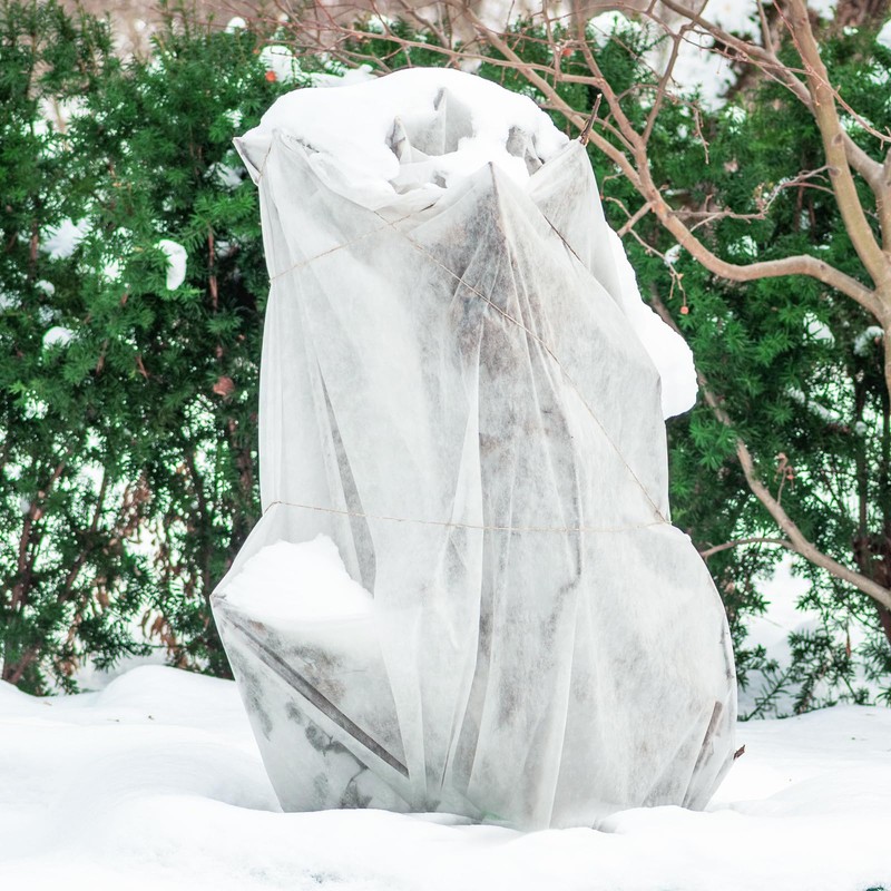 Liengoron 2PCS 10 Ft x 50 Ft Plant Covers Freeze