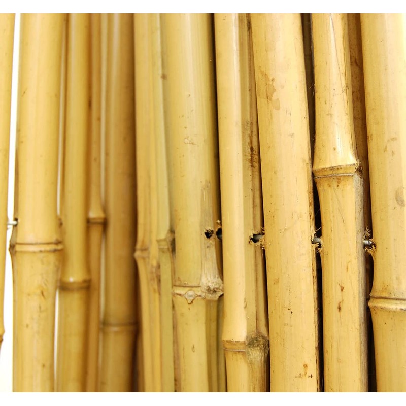 Backyard X-Scapes Natural Bamboo Fencing Decorative Rolled Fence Panel 0.75