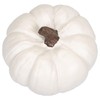 Elanze Designs Classic White 6 inch Resin Harvest Decorative Pumpkin