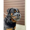 STRONG Wire Metal muzzle Basket Dog Muzzle Rottweiler,Mastiff Golden Retriever