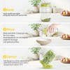 Luckyiren 2 Set Seed Sprouter Kit for Wide Mouth Jars
