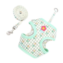 Puppy Harness,No Pull Adjustable Dog Harness and Leash Set Step-in Small Dog Harness Soft Mesh Breathable Harnesses with Padded Vest for Puppy,Small Dogs,Cats (Green, M)