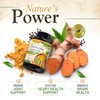 Turmeric Curcumin Supplement 1500mg - Organic Tumeric & BioPerine Black