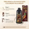 Chestnut Brown Hair Dye Shampoo 3 in 1, Shampoo para