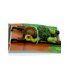 Turtle Flower Pot Hanger