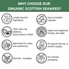 Mad Diet Organic Scottish Seaweed | Health Support | Natural