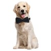 Love Dream Bowtie Dog Collar, Velvet Dog Collars with Detachable