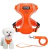 Pet Harness & Lead Set, Dog Harness, Small Dogs, Cats,