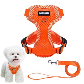 Pet Harness & Lead Set, Dog Harness, Small Dogs, Cats, Medium Dogs, Stylish, Low Burden Dog Gear, Double Lock, Mesh, Hard to Pull Out, Easy to Install Dogs, Going Out, Walks, Outings (Orange, L)