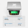 Bonvoisin Digital Scale 0.1 Gram Accuracy Precision Lab Scale 6000g