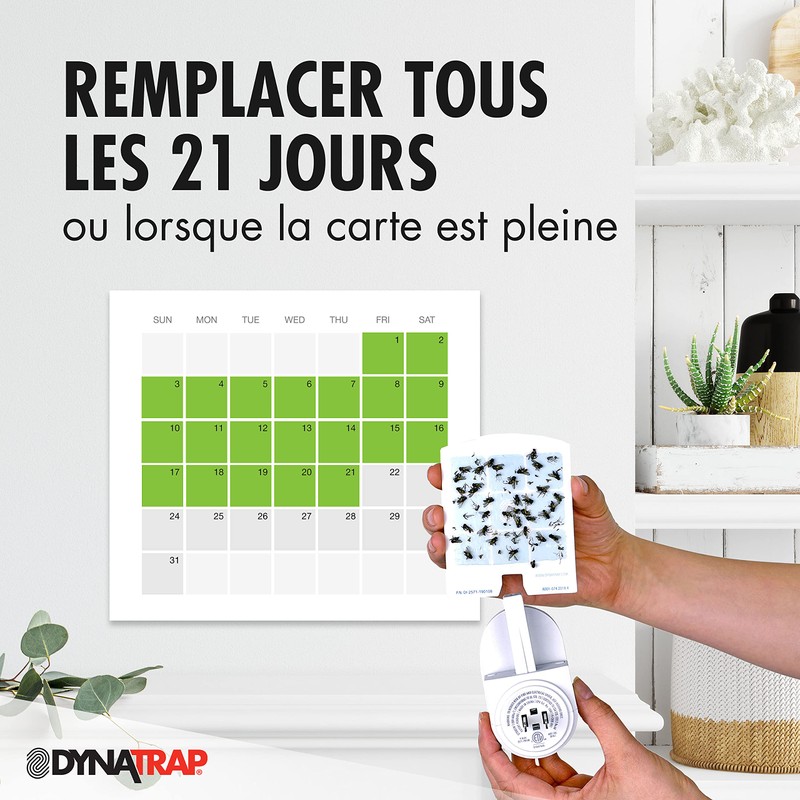 DynaTrap 23005-06 DOT StickyTech Replacement Glue Cards - Cloud