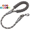 BAAPET 2/4/5/6 FT Dog Leash with Comfortable Padded Handle and