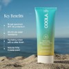 Coola Classic body organic sunscreen lotion spf 30 - pina