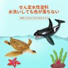 AAGWW Kids Simulated Sea Animal Model Mini Shark, Dolphin, Crab,