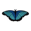Blue Morpho Butterfly Embroidered Iron-on Patch