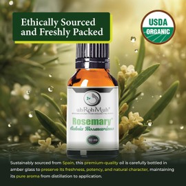 Organic Rosemary Essential Oil Chemotype Cineole | 100% Pure & Natural Steam Distilled from Leaves | Aromatherapy, Hair Growth, Focus & Respiratory Support | Fresh Woody Aroma | Spain - 10ml