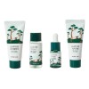 Round Lab Pine Calming Cica Trial Kit Mini Skincare Kit