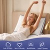 DOWNSTORIA Shredded Memory Foam Pillows Queen Size Set of 2,