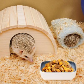 Cutomo Ceramic Feeding Bowls for Small Animals, Ideal for Hamster, Guinea Pig, Rat, Chinchilla, Hedgehog, Gerbil and Sugar Glider (Blue + Green + Brown)