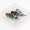 YAZHIDA Fly Fishing Flies, Simulated Insects, (Mole Cricket)