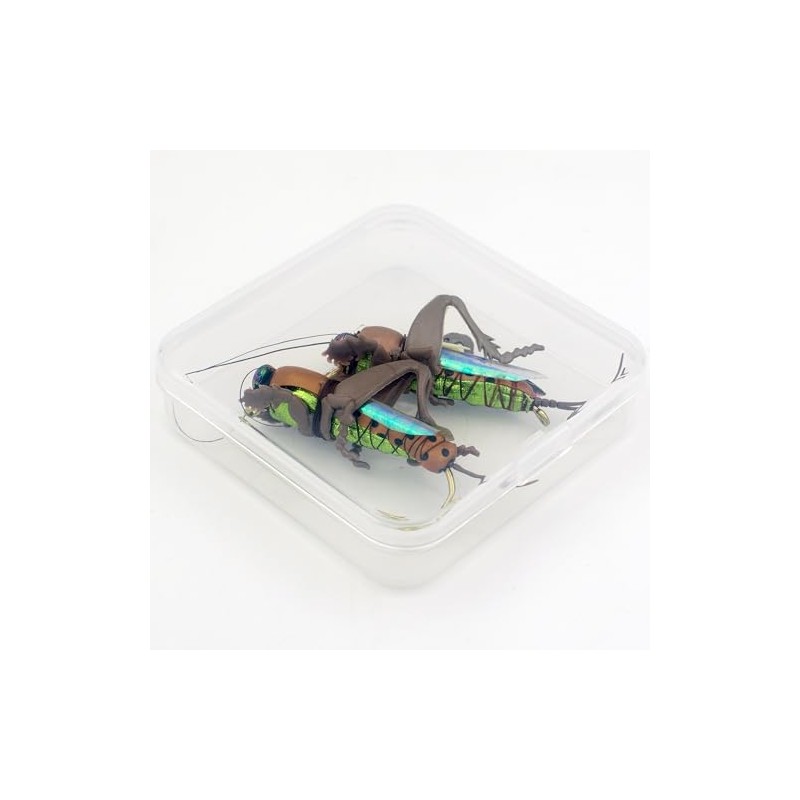 YAZHIDA Fly Fishing Flies, Simulated Insects, (Mole Cricket)