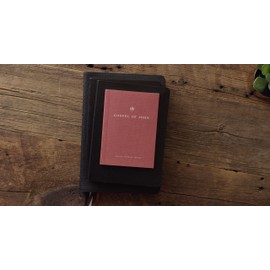 ESV Gospel of John, Share the Good News Edition