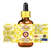 Deve Herbes Pure Betel Leaf Essential Oil (Piper betle) with
