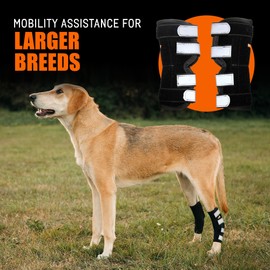 NeoAlly - Rear Leg Hock Brace with Metal Spring Strips, Dog Leg Brace for Rear Leg, Hock & Ankle Support, Rear Dog Leg Brace for Large Dogs, Long. (Both Legs, Extra Small)