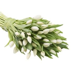 KaBloom PRIME NEXT DAY DELIVERY - WEDDING COLLECTION - 50 White Tulips I Gift for Birthday, Anniversary, Thank You, Mother’s Day Fresh Flowers.