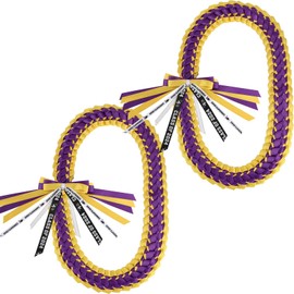 AUECOOME Graduation Leis 2024 Graduation Ribbon Lei graduation necklace Graduation Leis Class of 2024 Graduation gift Braided necklace for men and women party accessories (Yellow purple, 1)