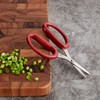 Helen’s Asian Kitchen Universal Scissors, Japanese Stainless Steel, 3.25-Inch Blade