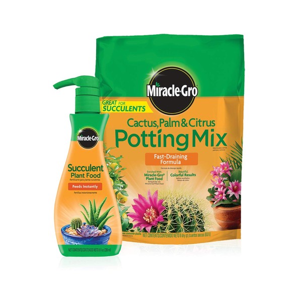 Miracle-Gro Cactus, Palm & Citrus Potting Mix and Succulent Plant
