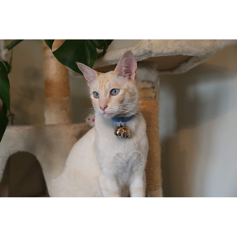 Beau's Bells 2 Extra Loud Cat & Dog Bells |